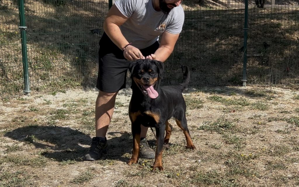 CHJ. Chamana de Txurroke